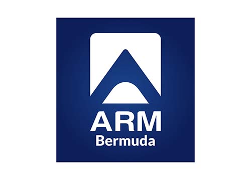 ARM Bermuda-